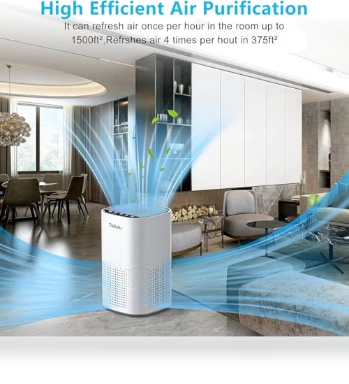 H13 True HEPA Air Purifier for Large Rooms up to 1500ft² — Activated Carbon Air Purifiers, Tailulu