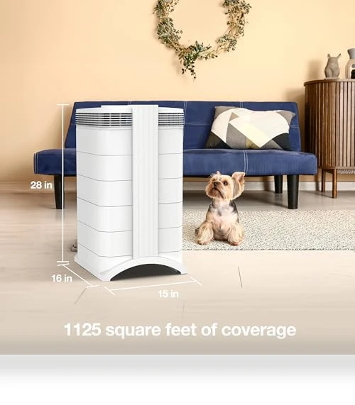 HealthPro Plus XE Air Purifier - Smart HyperHEPA Filtration for Large Rooms — Activated Carbon Air Purifiers, IQAir
