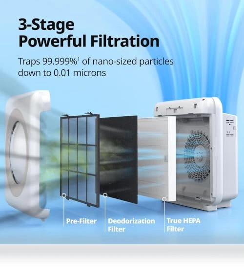 True HEPA Air Purifier with Air Quality Monitoring, Auto, Timer, Filter Indicator, and Eco Mode — HEPA Air Purifiers, Coway