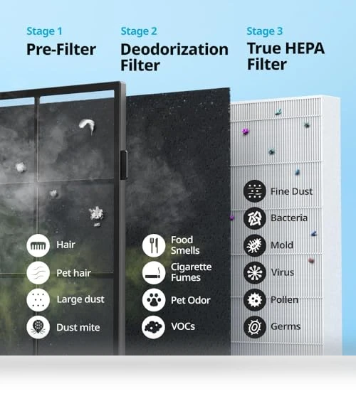 True HEPA Air Purifier with Air Quality Monitoring, Auto, Timer, Filter Indicator, and Eco Mode — HEPA Air Purifiers, Coway