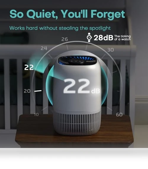 Air Purifier with H13 True HEPA Filter — Activated Carbon Air Purifiers, VOOPNU