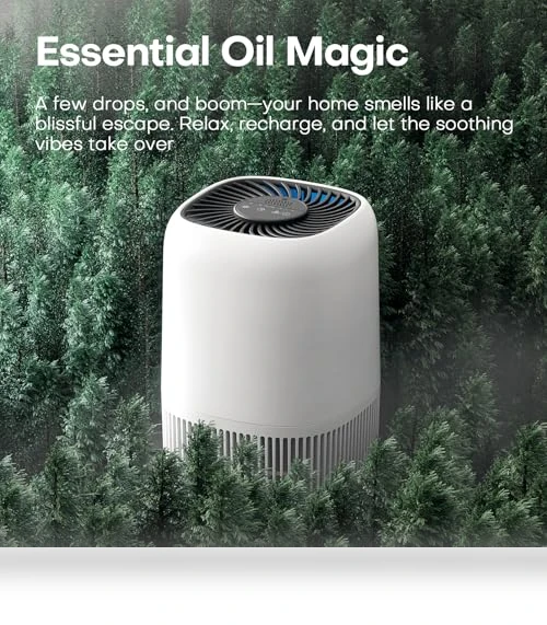 Air Purifier with H13 True HEPA Filter — Activated Carbon Air Purifiers, VOOPNU