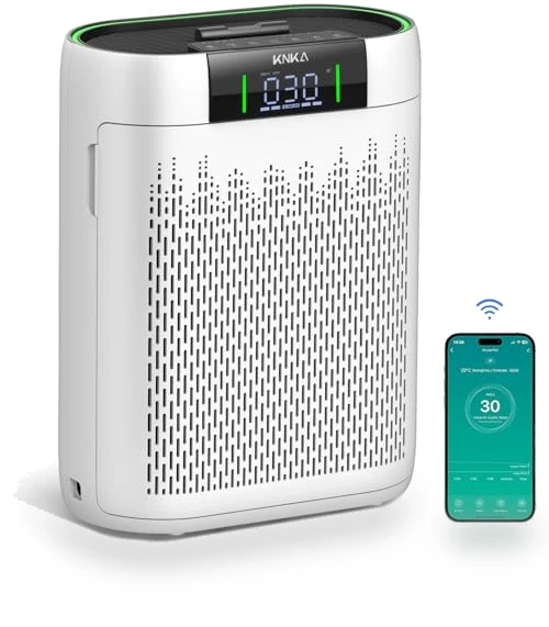 Hepa Air Purifier with Air Quality Monitor — HEPA Air Purifiers, KNKA