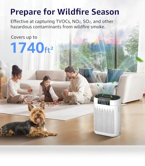 Hepa Air Purifier with Air Quality Monitor — HEPA Air Purifiers, KNKA