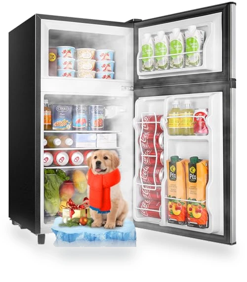 Mini Fridge with Freezer Compact Refrigerator — Mini Fridges, WANAI
