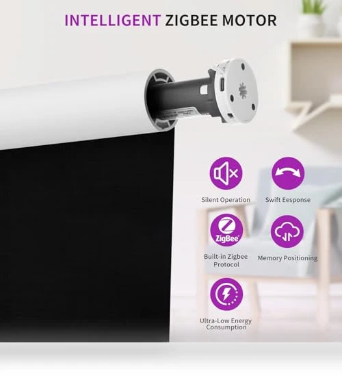 Motorized Blinds with Remote - Blackout Smart Roller Shades — Roller, Astomi