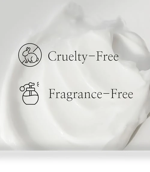 Dynasty Cream Hydrating Face Moisturizer — Beauty & Personal Care, Beauty of Joseon