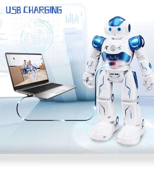 Gesture Sensing Programmable Rechargeable Remote Control Robot — Interactive Figures & Robots, SGILE