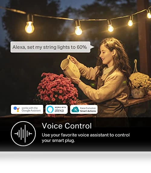 Outdoor Smart Plug — Smart Home Modules, Kasa Smart