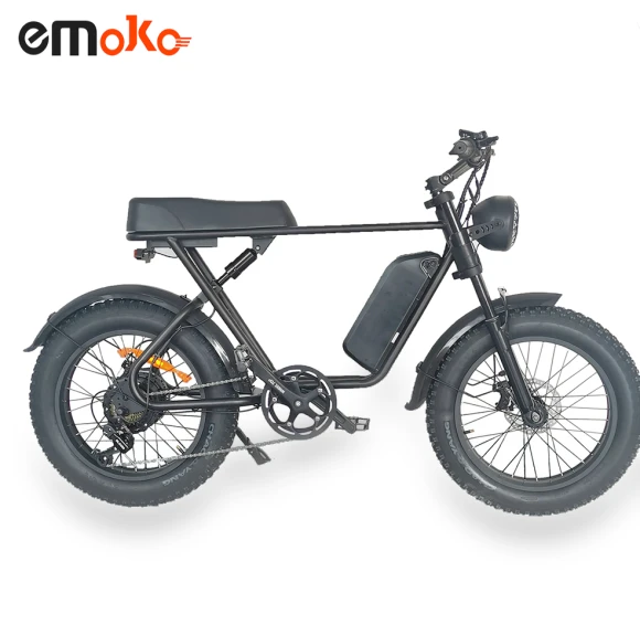 20 inch 4 Fat Tire Electric Bike — Electric Self-Balancing Scooters, Emoko