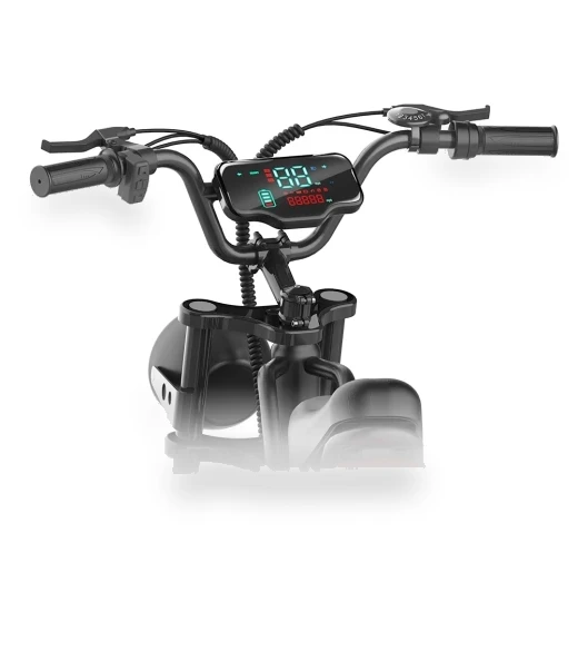 20 Inch Tire Retro Electric Bike — Electric Self-Balancing Scooters, Happyrun