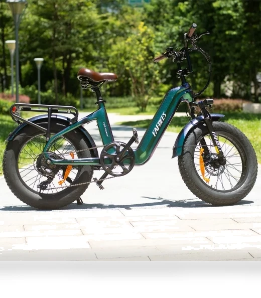 Master Electric Bike — Electric Self-Balancing Scooters, Fafrees