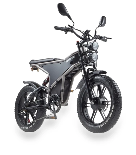 Electric Bike — Electric Vehicles, RANDRIDE