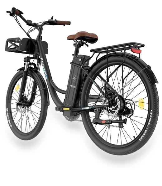 Lasting Electric Bike — Electric Self-Balancing Scooters, Fafrees