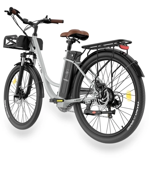 Lasting Electric Bike — Electric Self-Balancing Scooters, Fafrees