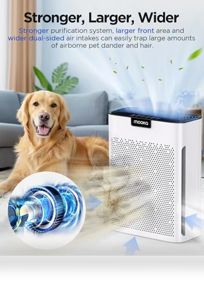 Air Purifier for Home Large Room — Air Moisturizers, Mooka