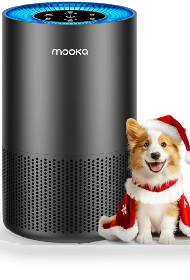 True HEPA Air Purifier for Large Rooms — Activated Carbon Air Purifiers, Mooka