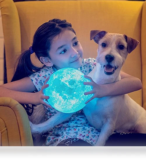 Moon Lamp — Lighting, PRUGNA