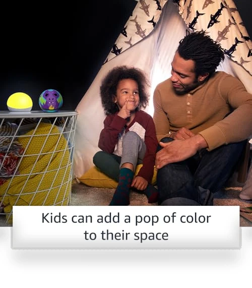 Multicolor smart lamp — Lighting Solutions, Echo