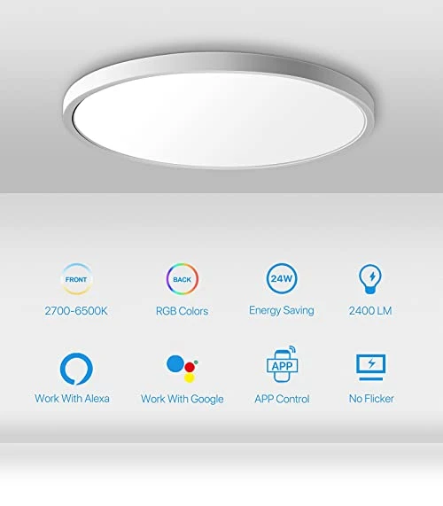 Smart LED Ceiling Light Flush Mount — LED, MELEGAN