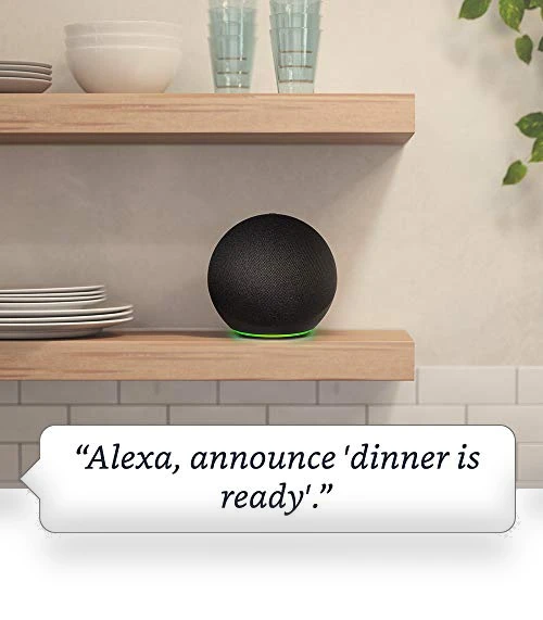 Smart Speaker with Premium Sound and Smart Home Hub — Whole-Home Audio Systems, Amazon