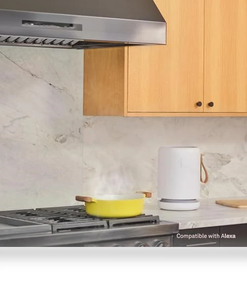 Air Purifier for Small Home Rooms — Activated Carbon Air Purifiers, Molekule