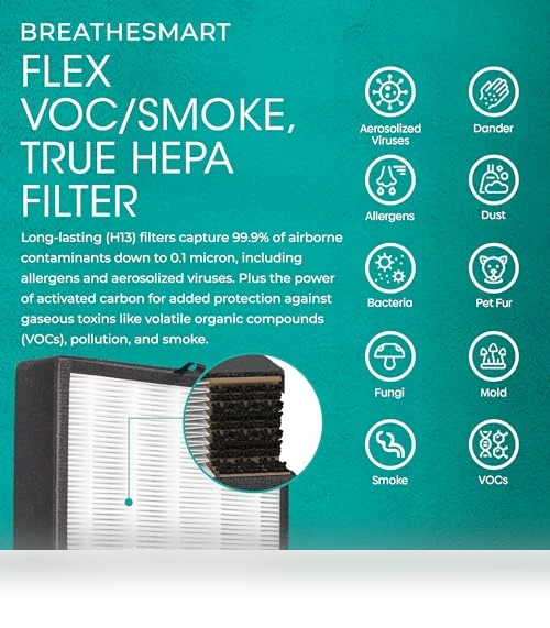 Air Purifier with HEPA VOC/Smoke Filter — Activated Carbon Air Purifiers, Alen