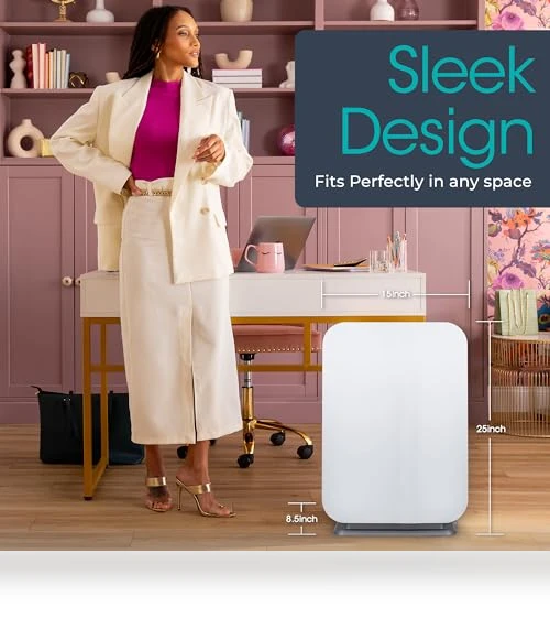 Air Purifier with HEPA VOC/Smoke Filter — Activated Carbon Air Purifiers, Alen