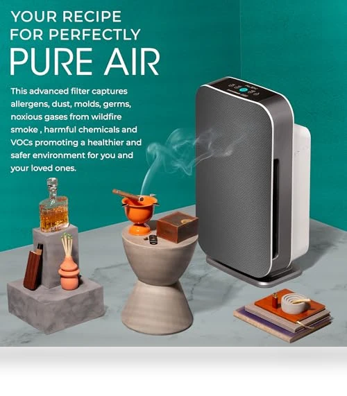 Air Purifier with HEPA VOC/Smoke Filter — Activated Carbon Air Purifiers, Alen