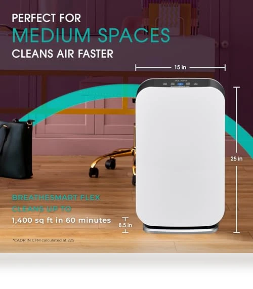 Air Purifier with HEPA VOC/Smoke Filter — Activated Carbon Air Purifiers, Alen