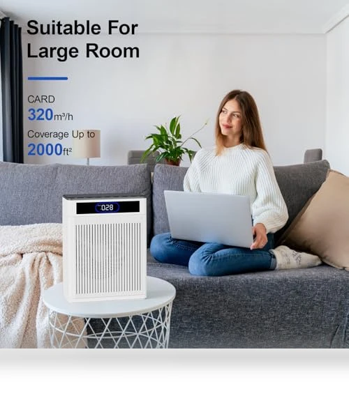 HEPA Air Purifier for Large Rooms — Activated Carbon Air Purifiers, AJR