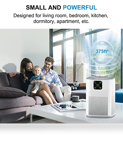 HEPA Air Purifier — Electrostatic Air Purifiers, Honeyuan