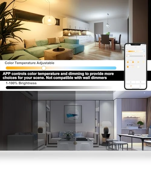 Smart LED Light Bulb — Lighting Solutions, ChangM