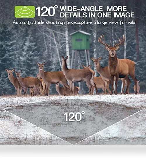 Trail Camera 2 Pack — Outdoor Security Cameras, Punvoe