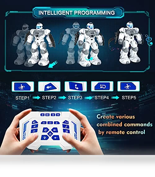Intelligent Programmable RC Robot — Interactive Figures & Robots, VAV