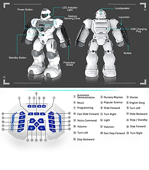 Intelligent Programmable RC Robot — Interactive Figures & Robots, VAV