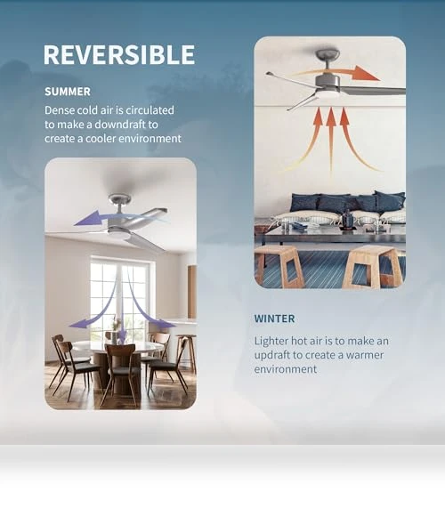 Modern All Seasons Smart Ceiling Fan with LED Lights — Ceiling Fan Wall Controls, Promounts
