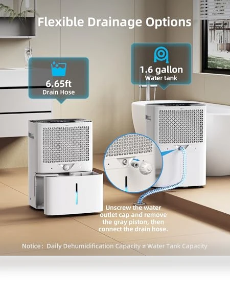 Dehumidifier for Home and Basement — Air Moisture Control