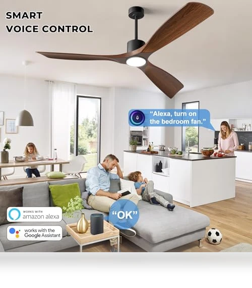 Smart Ceiling Fan with Light — Ceiling Fan Wall Controls, BOOSANT