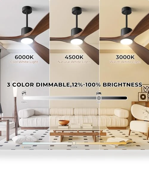 Smart Ceiling Fan with Light — Ceiling Fan Wall Controls, BOOSANT