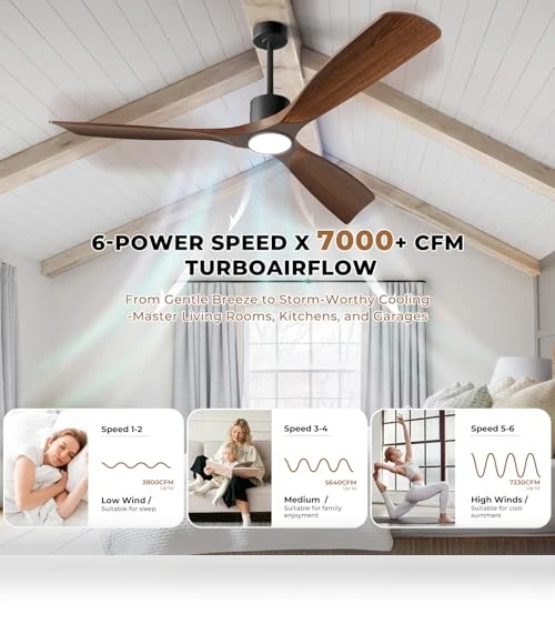 Smart Ceiling Fan with Light — Ceiling Fan Wall Controls, BOOSANT
