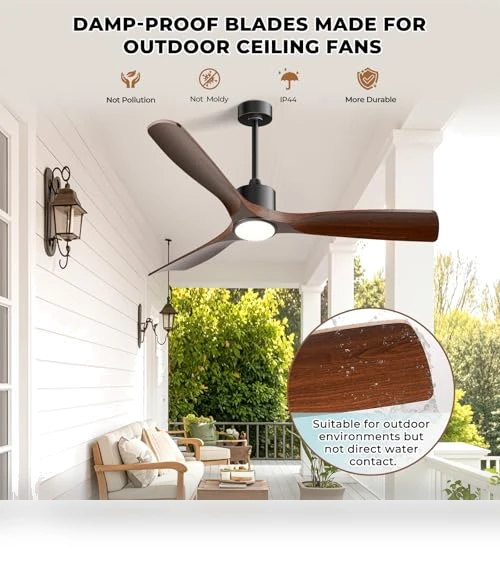 Smart Ceiling Fan with Light — Ceiling Fan Wall Controls, BOOSANT