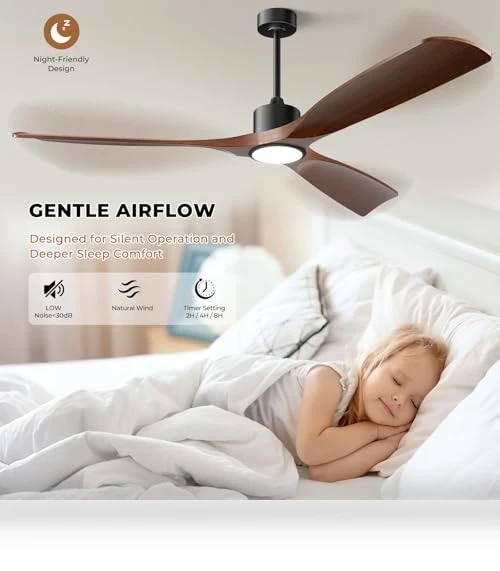 Smart Ceiling Fan with Light — Ceiling Fan Wall Controls, BOOSANT