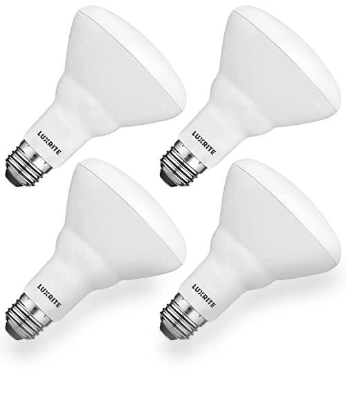 BR30 LED Bulb — Lighting Solutions, LUXRITE