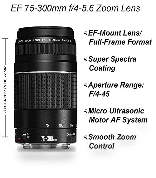 DSLR Camera with Dual Lens and Accessory Bundle — Camera & Photo, Canon