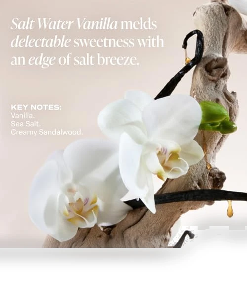 Multi-Lipid Body Butter — Body Washes, Saltair