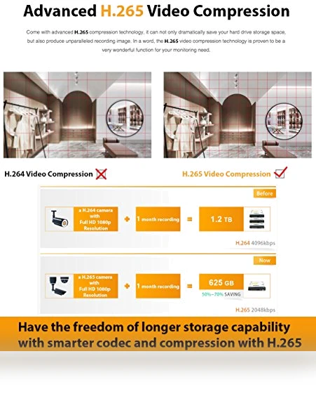 AutoFocus IP Camera System — Security Cameras, GW Security