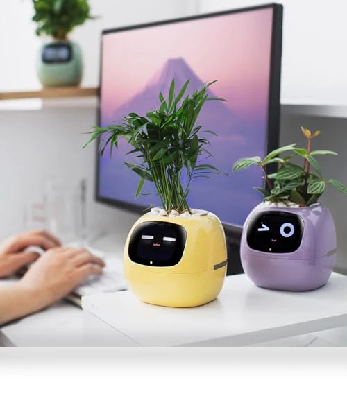 Smart Pet Planter Robot — Plants & Greenery, PLANTSIO