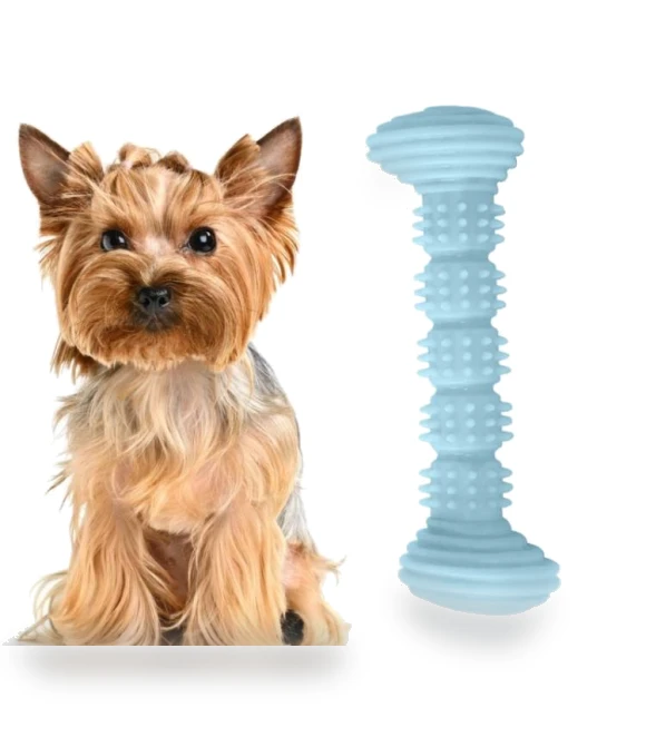 Teething Toy Chewing Dog Toothbrush Toy — Toys