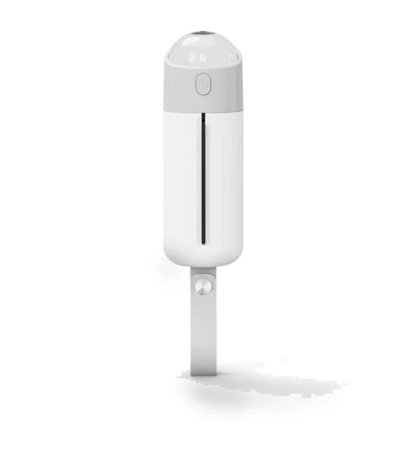 Portable Dog Toilet Bowl with LED Lighting — Purses